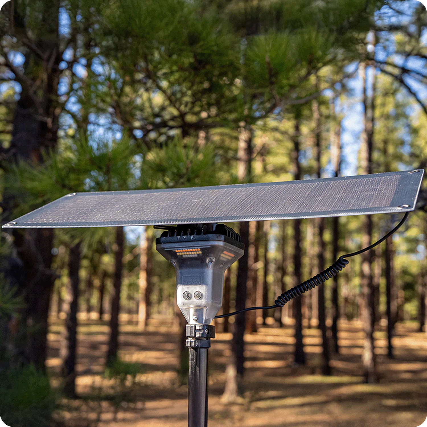 Lighting Accessories